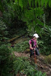 BIB: 
                            <button type="button" onclick="openModal(16033018)" class="btn btn-primary btn-sm float-right btn-popup" data-toggle="modal" data-target=".modal-high-quality">
                        <i class="fas fa-shopping-cart"></i> Add to Cart
                    </button>
                                            <button type="button" onclick="isThisMe(16033018, true)" class="btn btn-success btn-sm float-right btn-popup btn-isme hidden" data-toggle="tooltip" data-placement="bottom" title="นี่คือรูปของคุณใช่ไหม คลิกที่นี่เพื่อเอาเข้าอัลบั้ม">
                        <i class="fas fa-plus"></i> Add to album
                    </button>
                    <button type="button" onclick="isThisMe(16033018, false)" class="btn btn-warning btn-sm float-right btn-popup btn-isnotme hidden">
                        <i class="fas fa-ban"></i> Remove from album
                    </button>